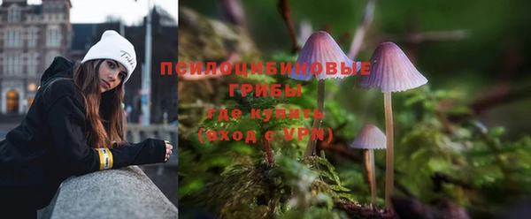 дмт Бронницы