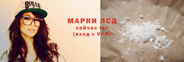 хмурый Белокуриха