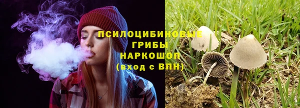 хмурый Белокуриха