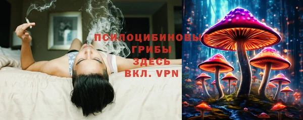 мяу мяу мука Бородино