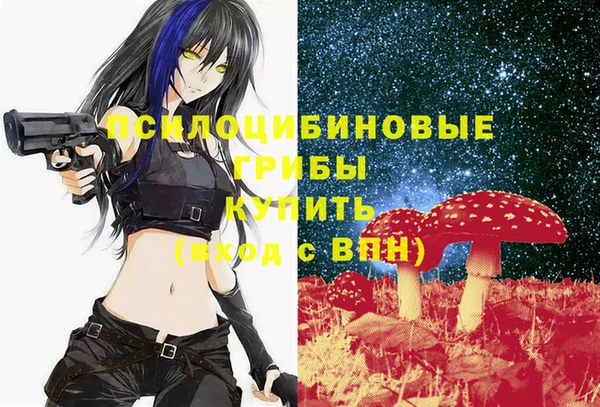 хмурый Белокуриха